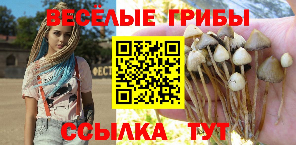 Псилоцибиновые грибы мухоморы Вятские Поляны